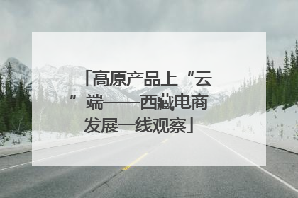 高原产品上“云”端——西藏电商发展一线观察