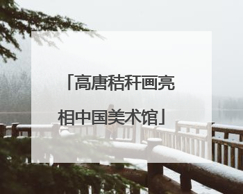 高唐秸秆画亮相中国美术馆