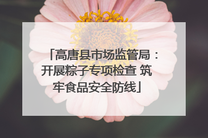 高唐县市场监管局：开展粽子专项检查 筑牢食品安全防线