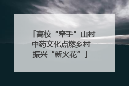 高校“牵手”山村 中药文化点燃乡村振兴“新火花”