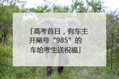 高考首日，有车主开尾号“985”的车给考生送祝福