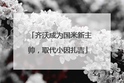 齐沃成为国米新主帅，取代小因扎吉