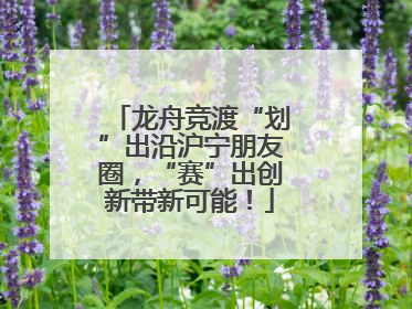 龙舟竞渡“划”出沿沪宁朋友圈，“赛”出创新带新可能！