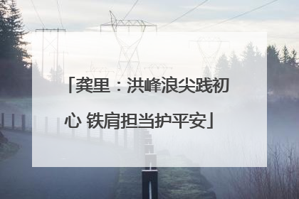 龚里：洪峰浪尖践初心 铁肩担当护平安