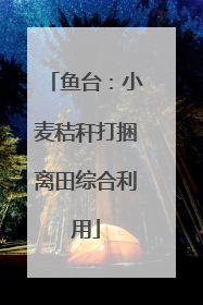 鱼台：小麦秸秆打捆离田综合利用