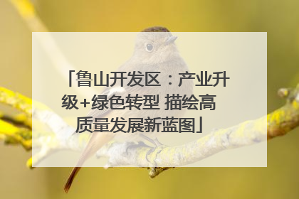 鲁山开发区：产业升级+绿色转型 描绘高质量发展新蓝图