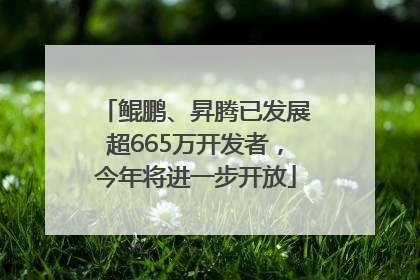 鲲鹏、昇腾已发展超665万开发者，今年将进一步开放