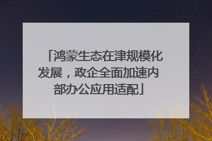 鸿蒙生态在津规模化发展，政企全面加速内部办公应用适配