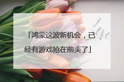 鸿蒙这波新机会，已经有游戏抢在前头了