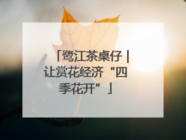 鹭江茶桌仔｜让赏花经济“四季花开”