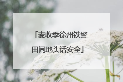 麦收季徐州铁警田间地头话安全