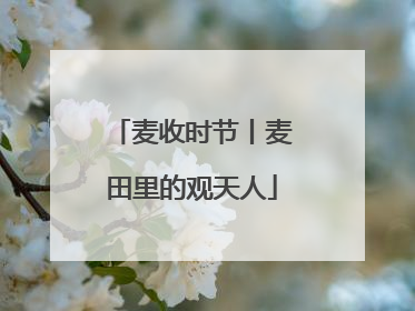 麦收时节丨麦田里的观天人