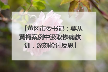 黄冈市委书记：要从黄梅案例中汲取惨痛教训，深刻检讨反思