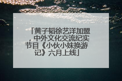 黄子韬徐艺洋加盟，中外文化交流纪实节目《小伙小妹换游记》六月上线
