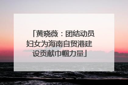 黄晓薇：团结动员妇女为海南自贸港建设贡献巾帼力量