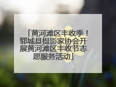 黄河滩区丰收季！郓城县摄影家协会开展黄河滩区丰收节志愿服务活动