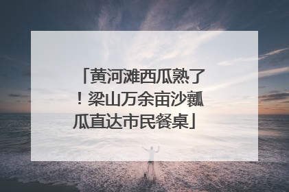 黄河滩西瓜熟了！梁山万余亩沙瓤瓜直达市民餐桌
