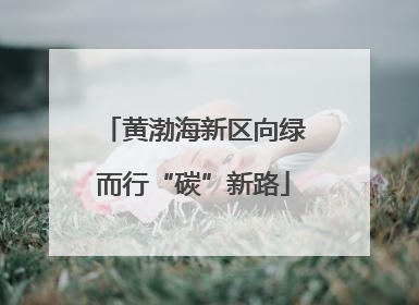黄渤海新区向绿而行“碳”新路