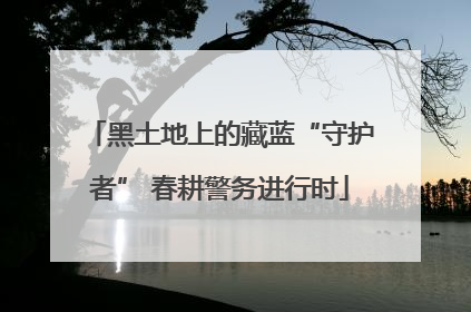 黑土地上的藏蓝“守护者” 春耕警务进行时