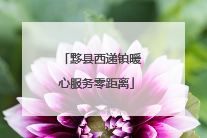 黟县西递镇暖心服务零距离