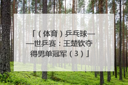 （体育）乒乓球——世乒赛：王楚钦夺得男单冠军（3）