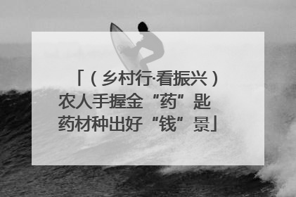 （乡村行·看振兴）农人手握金“药”匙 药材种出好“钱”景