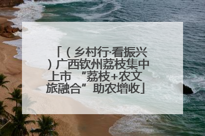 （乡村行·看振兴）广西钦州荔枝集中上市 “荔枝+农文旅融合”助农增收