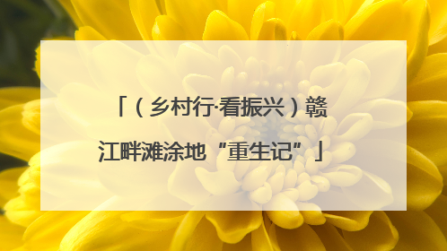 （乡村行·看振兴）赣江畔滩涂地“重生记”