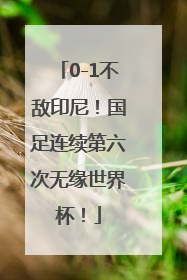 0-1不敌印尼！国足连续第六次无缘世界杯！