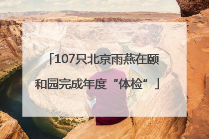 107只北京雨燕在颐和园完成年度“体检”