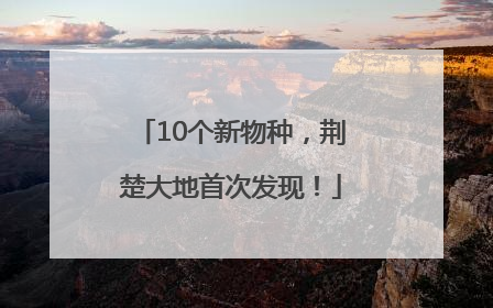 10个新物种，荆楚大地首次发现！