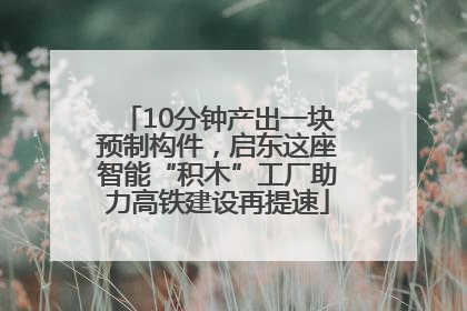 10分钟产出一块预制构件，启东这座智能“积木”工厂助力高铁建设再提速