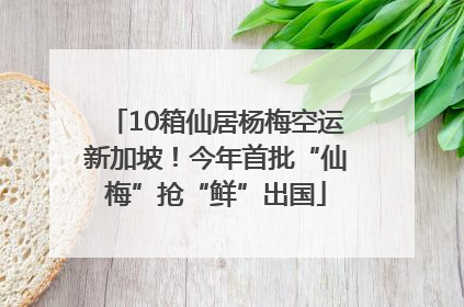 10箱仙居杨梅空运新加坡！今年首批“仙梅”抢“鲜”出国