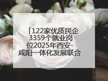 122家优质民企 3359个就业岗位2025年西安-咸阳一体化发展联合招聘会举办