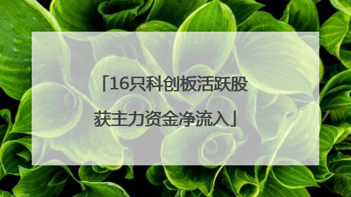 16只科创板活跃股获主力资金净流入