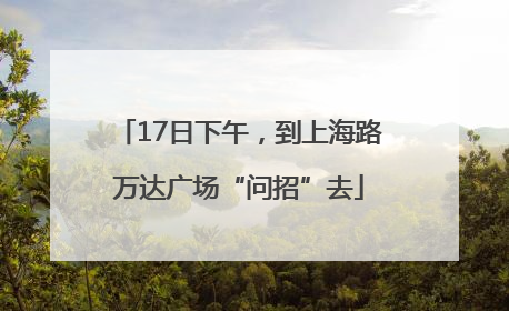 17日下午，到上海路万达广场“问招”去