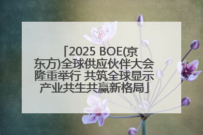 2025 BOE(京东方)全球供应伙伴大会隆重举行 共筑全球显示产业共生共赢新格局