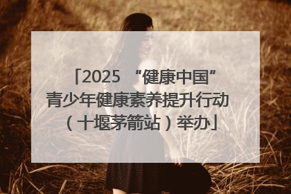 2025 “健康中国” 青少年健康素养提升行动（十堰茅箭站）举办