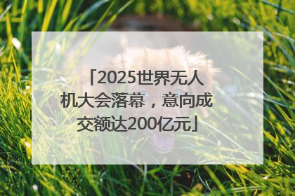 2025世界无人机大会落幕，意向成交额达200亿元