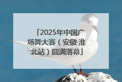 2025年中国广场舞大赛（安徽·淮北站）圆满落幕