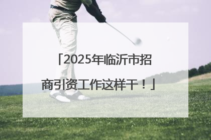 2025年临沂市招商引资工作这样干！