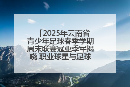 2025年云南省青少年足球春季学期周末联赛冠亚季军揭晓 职业球星与足球小将共享荣耀时刻