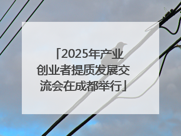 2025年产业创业者提质发展交流会在成都举行