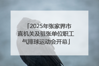 2025年张家界市直机关及驻张单位职工气排球运动会开幕
