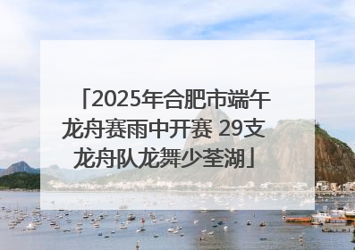 2025年合肥市端午龙舟赛雨中开赛 29支龙舟队龙舞少荃湖