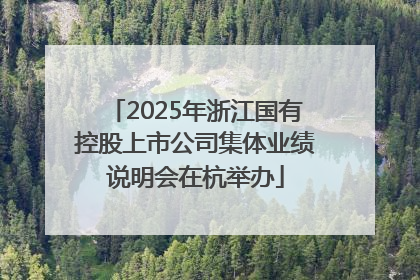 2025年浙江国有控股上市公司集体业绩说明会在杭举办