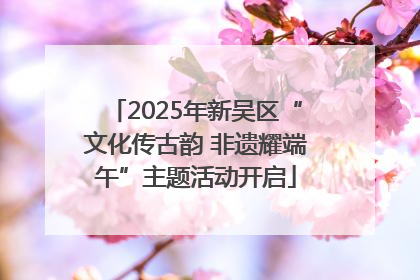 2025年新吴区“文化传古韵 非遗耀端午”主题活动开启