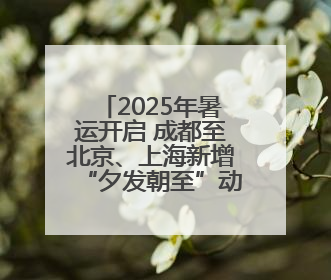 2025年暑运开启 成都至北京、上海新增“夕发朝至”动卧列车