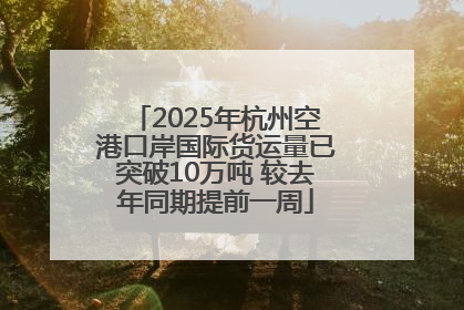 2025年杭州空港口岸国际货运量已突破10万吨 较去年同期提前一周