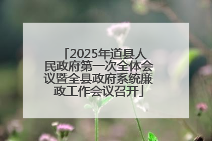2025年道县人民政府第一次全体会议暨全县政府系统廉政工作会议召开